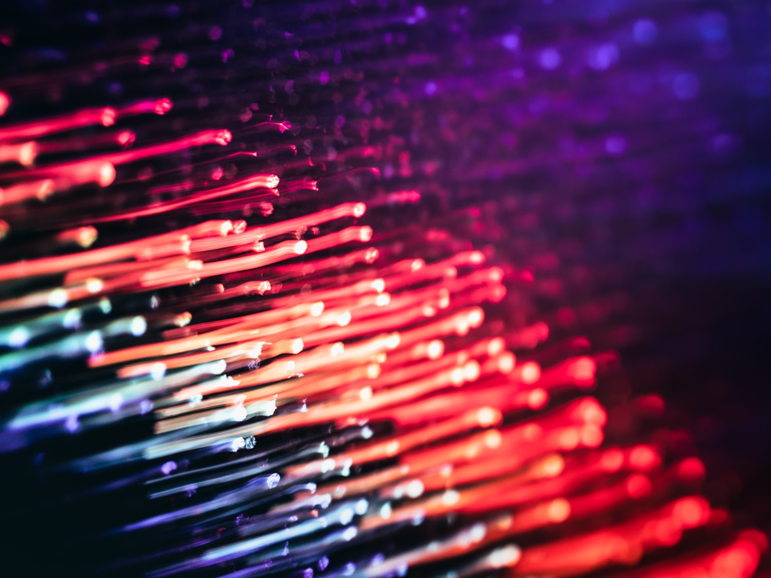 Coloured Fibre Photo by Marek Piwnicki on Unsplash